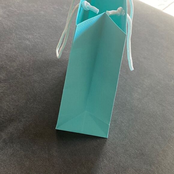 Tiffany & Co. Gift Bag - Picture 8 of 9